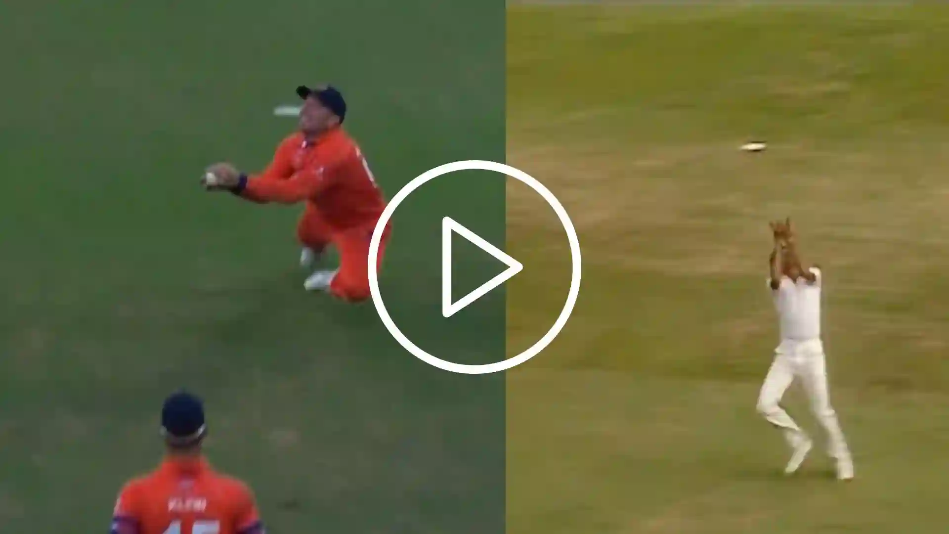 NZ vs NED | Former RCB Player Recreates Kapil Dev's 1983 WC-Winning Catch